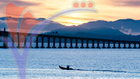 Jambatan Pulau Pinang