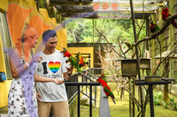 Kuala Lumpur Bird Park, Kl