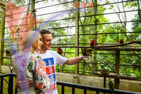 Kuala Lumpur Bird Park, Kl