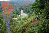 Danum Valley