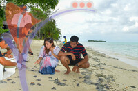 Turtle Releasing, Mabul Island, Sabah