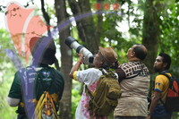 Fraser's Hill International Bird Race