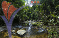 Royal Belum State Park