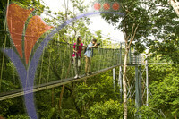 Teak Gallery Tree Top Walk