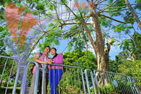 Penang Hill