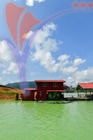 Tasik Pedu