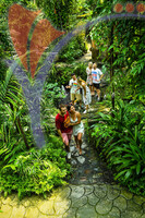 Kuala Lumpur Butterfly Park