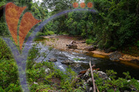 Kenyir, Terengganu