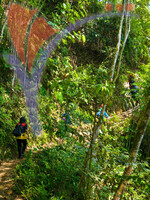 Bengoh Dam Scenery, Boat Riding And Nature Hiking