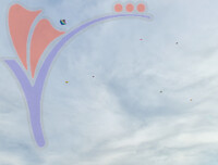 Kelantan International Kite Festival