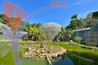 Bird Park