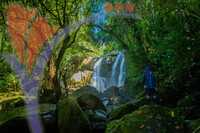 Susung Waterfall - Jurassic Wold Waterfall