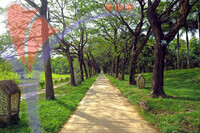 Taman Legenda