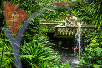 Kuala Lumpur Butterfly Park