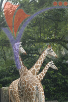 National Zoo