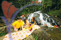 Kota Tinggi Waterfalls