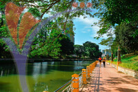 Jogging At Seremban Lake Garden, Seremban, Negeri Sembilan