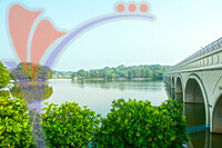 Taman Wetland - Putrajaya