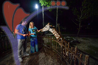 Night Safari Zoo Taiping , Perak