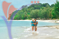 Sibu Island Johor