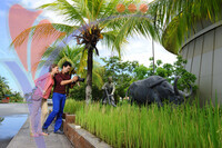Muzium Padi