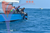 The Royal Pahang Billfish International Challenge