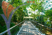 Taman Botani (botanical Garden) - Putrajaya