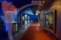 Marine Museum