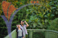 Rainforest Discovery Centre