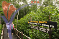 Gunung Ledang - Johor