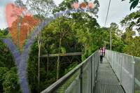 Sungai Sedim - Kedah
