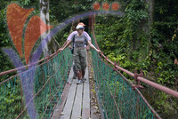 Danum Valley
