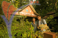 Taman Herba