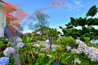 The Jerai Hill