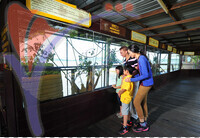 Pulau Orang Utan - Bukit Merah - Perak