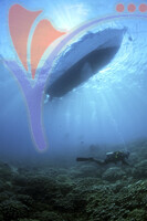 Tioman Island - Pahang