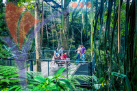 The Habitat