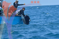 The Royal Pahang Billfish International Challenge