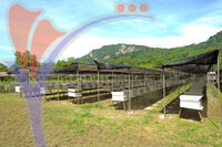 Taman Lebah