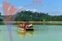 Tasik Pedu