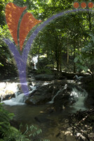 Sungai Tekala Recreational Forest