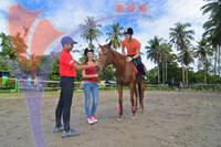 As Equestrian