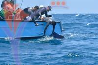 The Royal Pahang Billfish International Challenge
