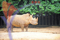 Melaka Zoo