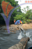 Kuala Koh