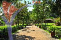 Gunung Lang - Perak