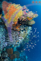 Sipadan 7