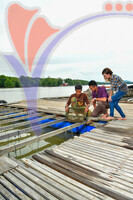 Oyster Farm