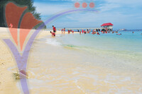 Taman Laut Tanjung Pinang