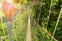 Canopy Bridge in Taman Negara, Malaysia